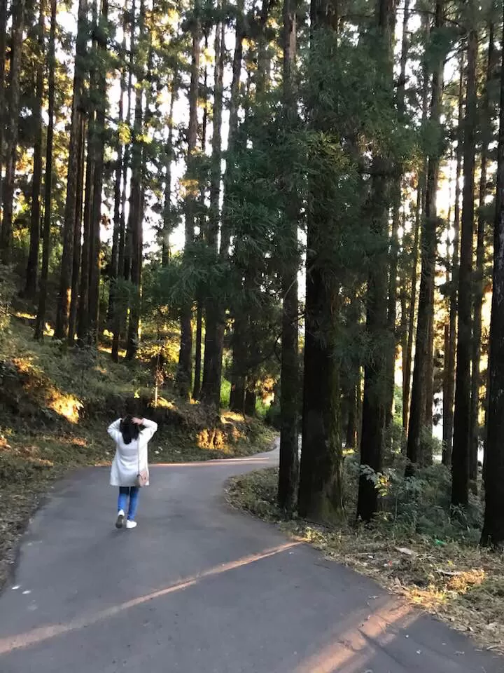 Photo of Kurseong, West Bengal, India by Nilz