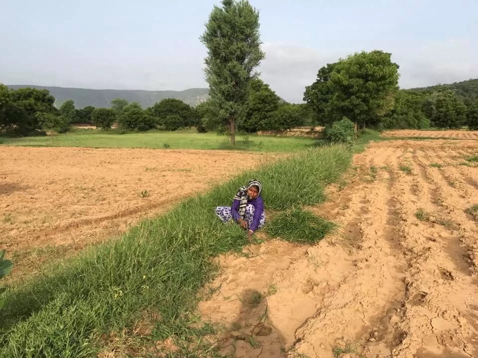 Photo of Alwar, Rajasthan, India by Nilz