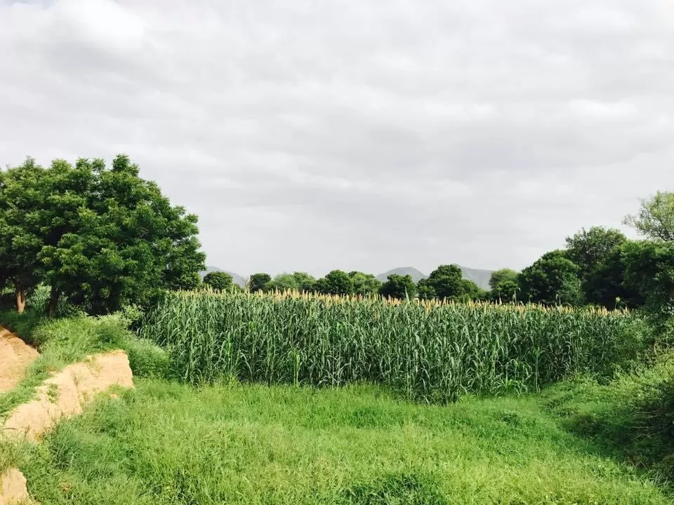 Photo of Alwar, Rajasthan, India by Nilz