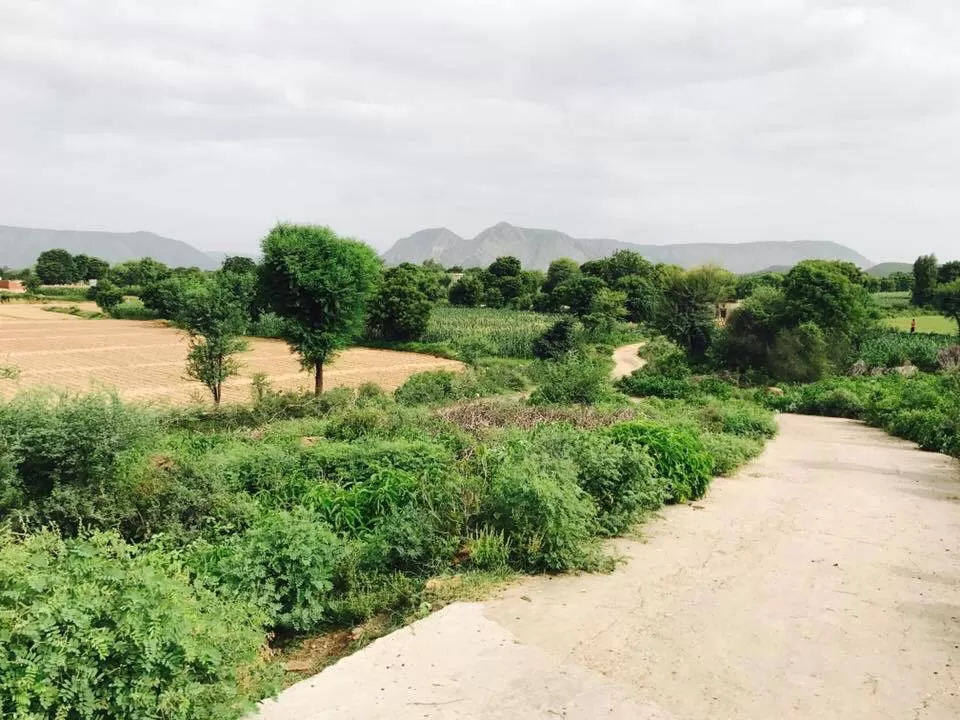 Photo of Alwar, Rajasthan, India by Nilz