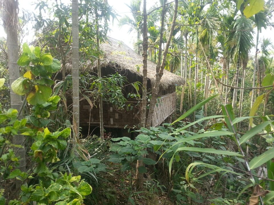Photo of Mawlynnong, Meghalaya, India by Pratik Udani