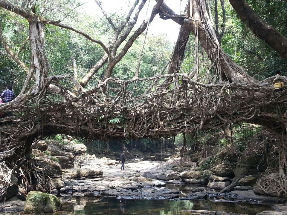 Photo of Mawlynnong, Meghalaya, India by Pratik Udani