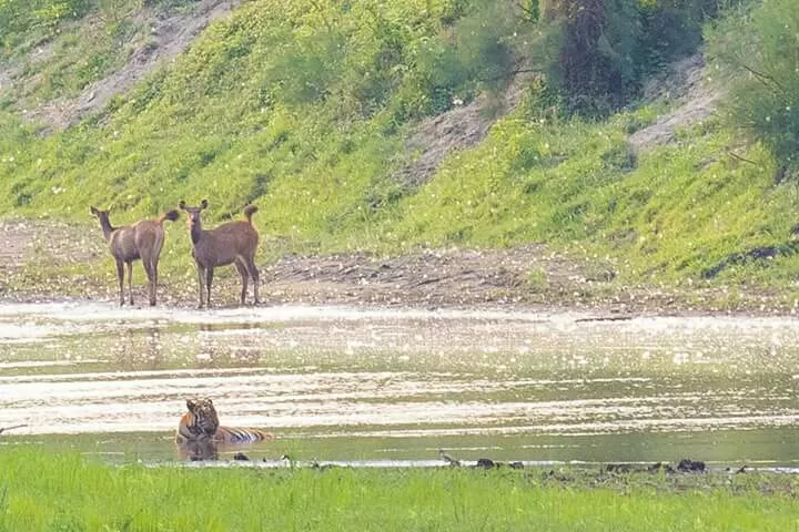 Photo of Kaziranga, Assam, India by Pratik Udani