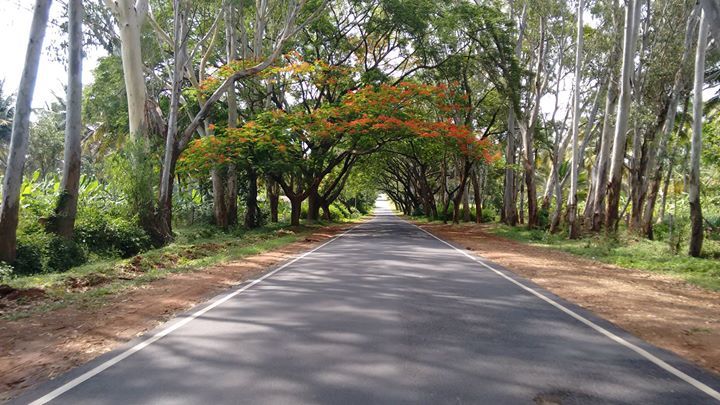 Photo of Biking in heaven – Munnar, Kerala by Trishul Goel