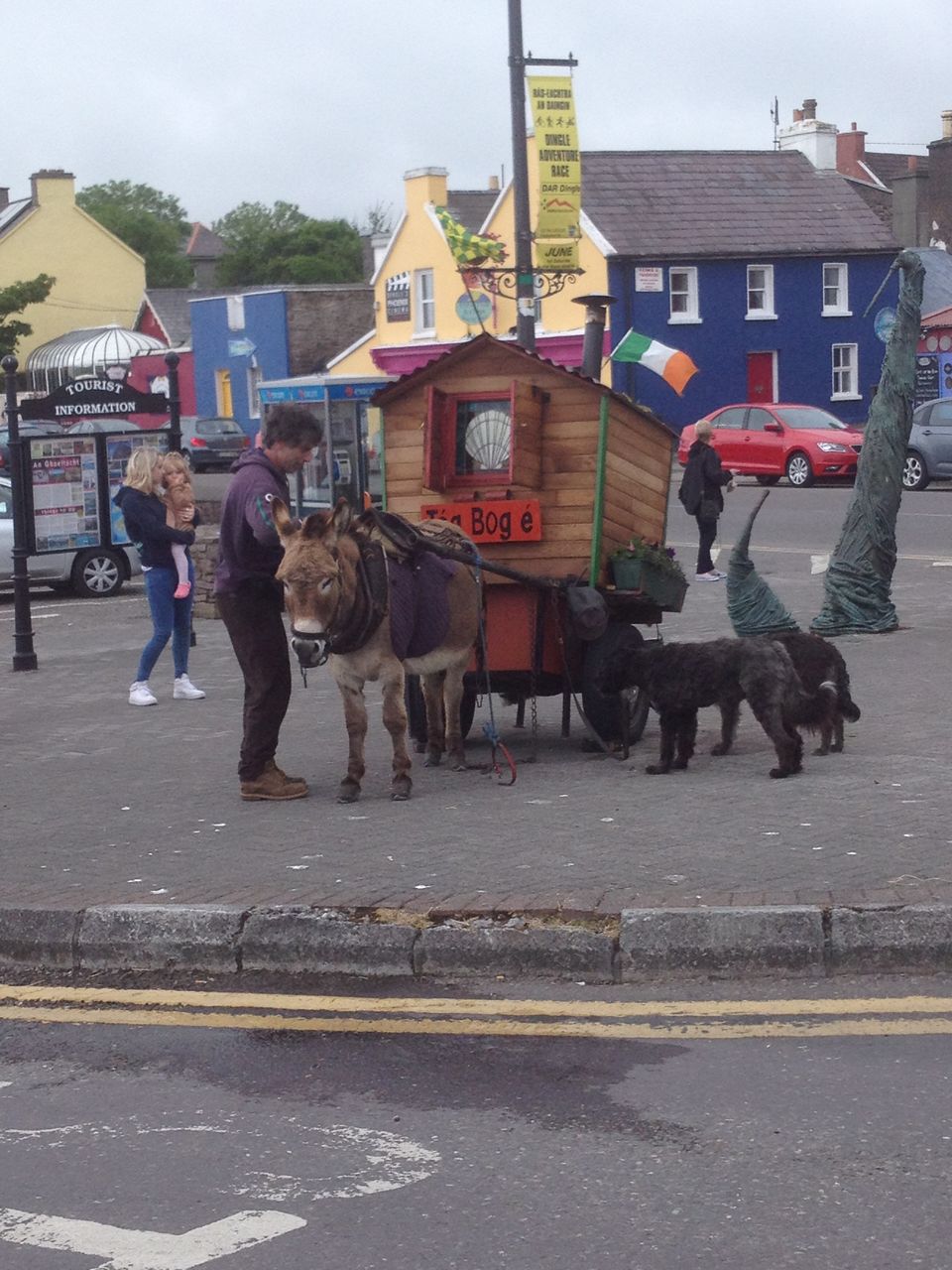 Photo of Dingle, Ireland by Sanket Dhume