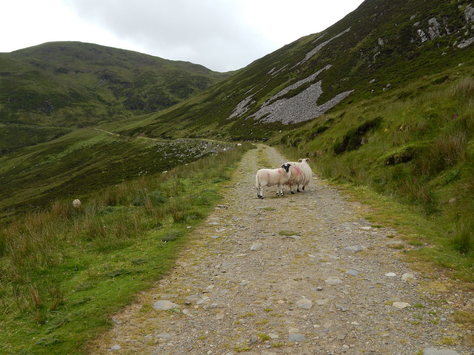 Photo of The Wild Atlantic Irish Road-Trip 36/38 by Sanket Dhume