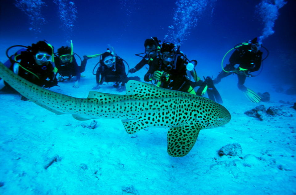 Photo of 3 Exotic summer destinations in India 13/15 by Sanket Dhume