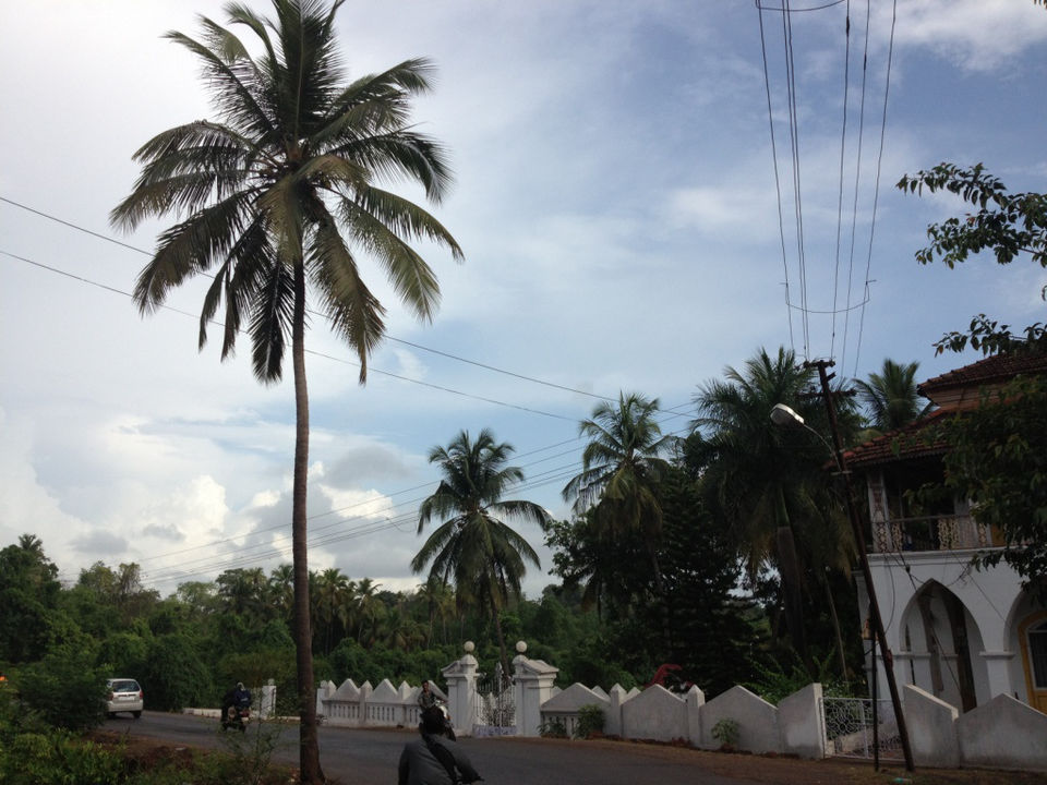 Photo of Playing the guide in Goa 27/37 by Sanket Dhume
