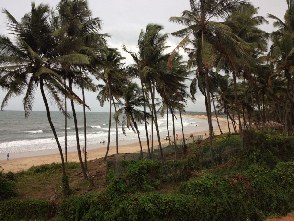 Photo of Playing the guide in Goa 32/37 by Sanket Dhume