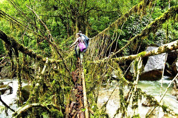 Photo of 3 Exotic summer destinations in India 11/15 by Sanket Dhume