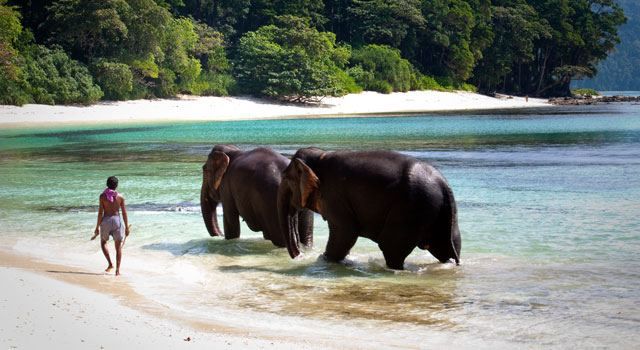 Photo of 3 Exotic summer destinations in India 15/15 by Sanket Dhume