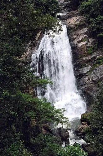 Photo of Munnar, Kerala, India by Jayant Singh