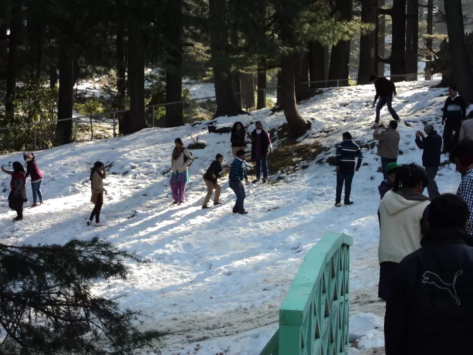 Photo of Patnitop by Jayant Singh