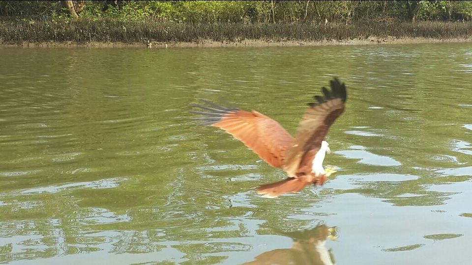 Photo of Goa, India by Sneha Karandikar