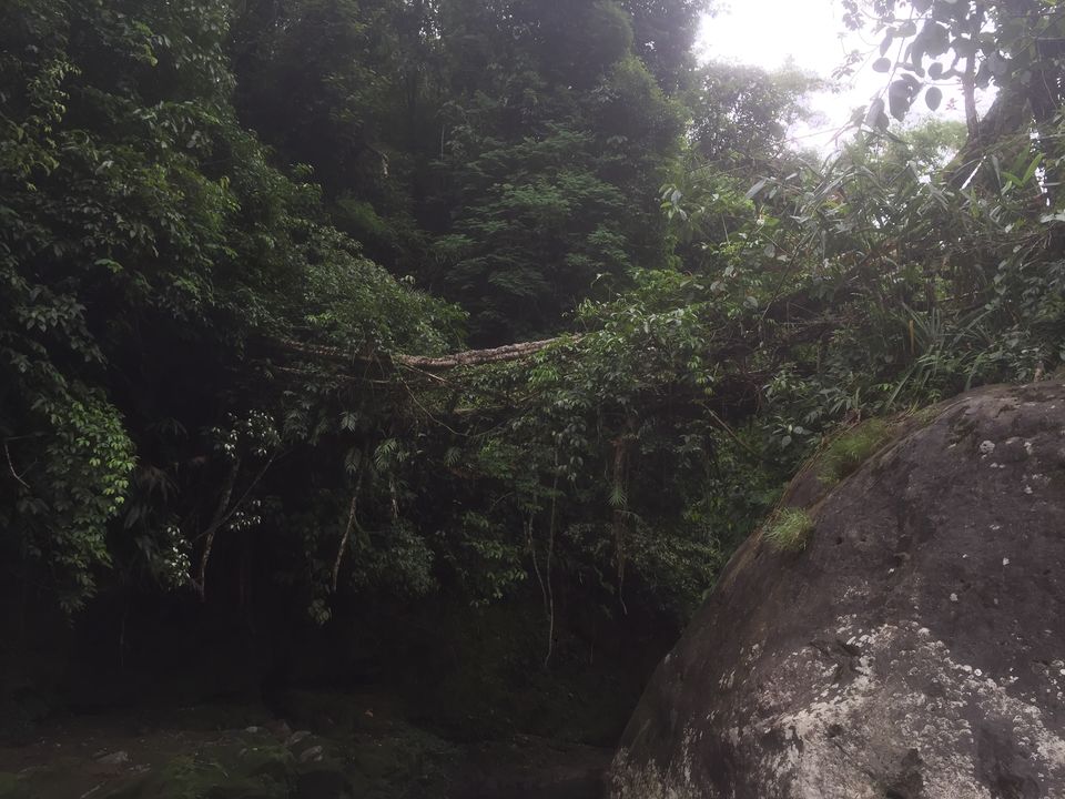 Photo of Nongriat, where man and nature collide. 11/19 by Akshaya Singhal