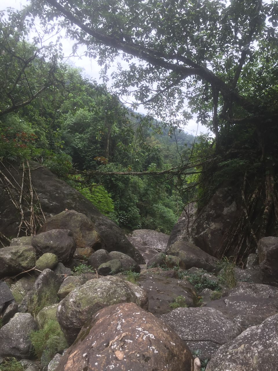Photo of Nongriat, where man and nature collide. 10/19 by Akshaya Singhal