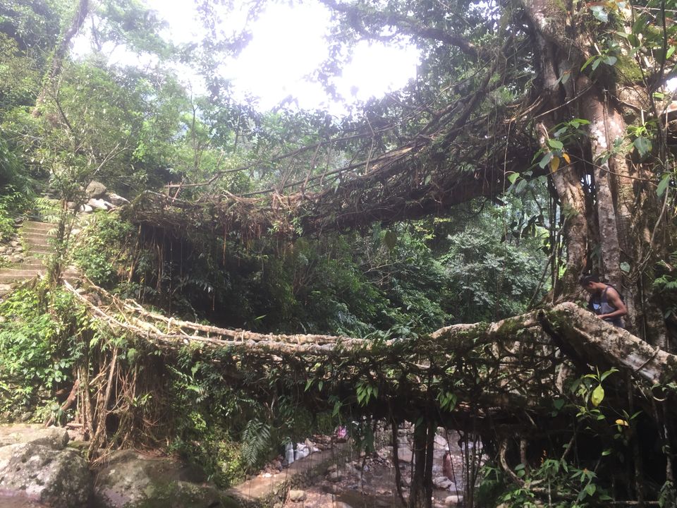 Photo of Nongriat, where man and nature collide. 14/19 by Akshaya Singhal