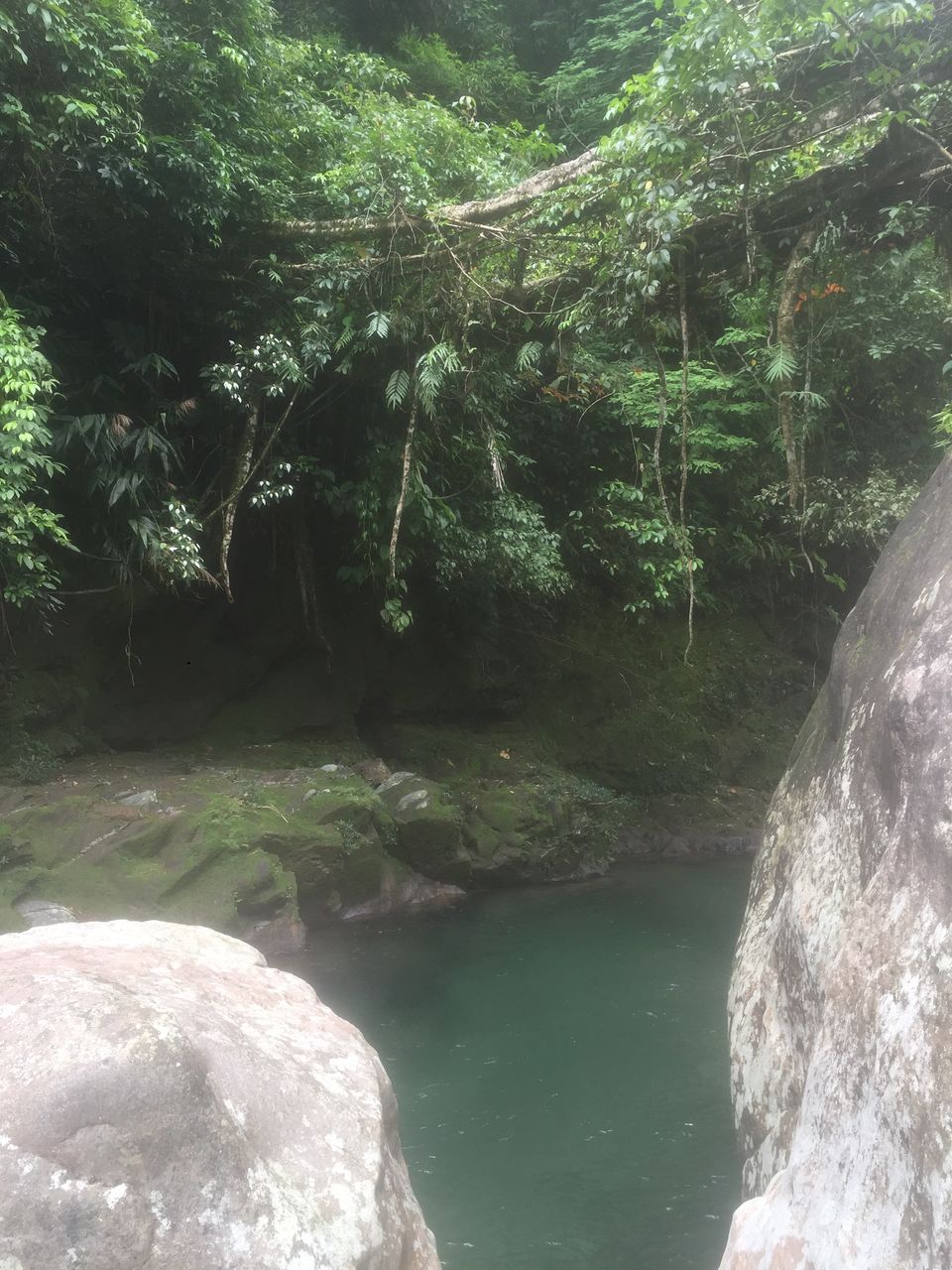 Photo of Nongriat, where man and nature collide. 12/19 by Akshaya Singhal