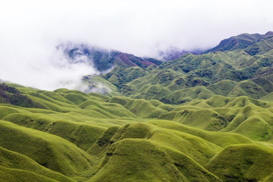 Photo of Meet yourself at Dzukou Valley by Akshaya Singhal