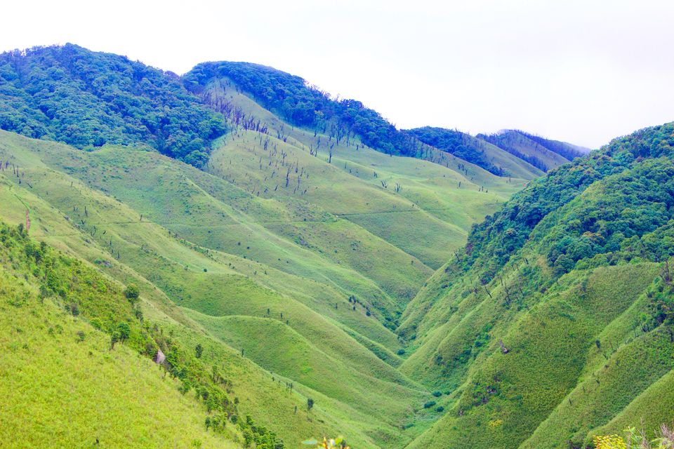 Photo of Kohima, Nagaland, India by Akshaya Singhal