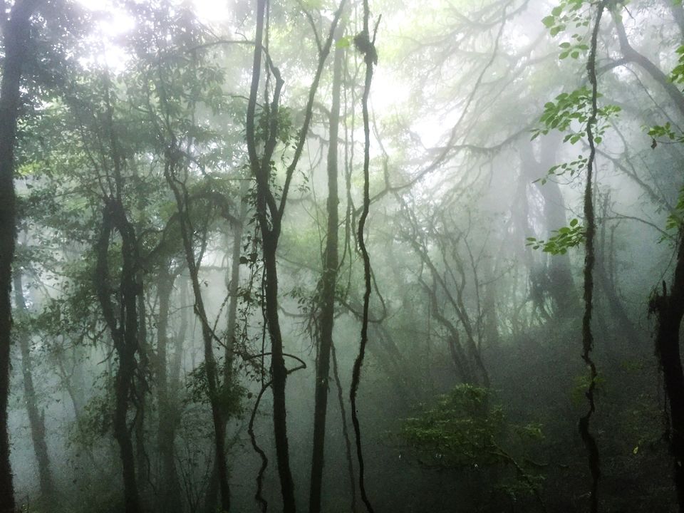 Photo of Kohima, Nagaland, India by Akshaya Singhal