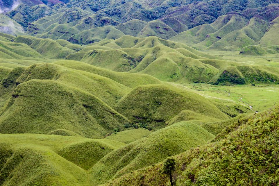 Photo of Dzukou View Point, Kohima, Nagaland, India by Akshaya Singhal
