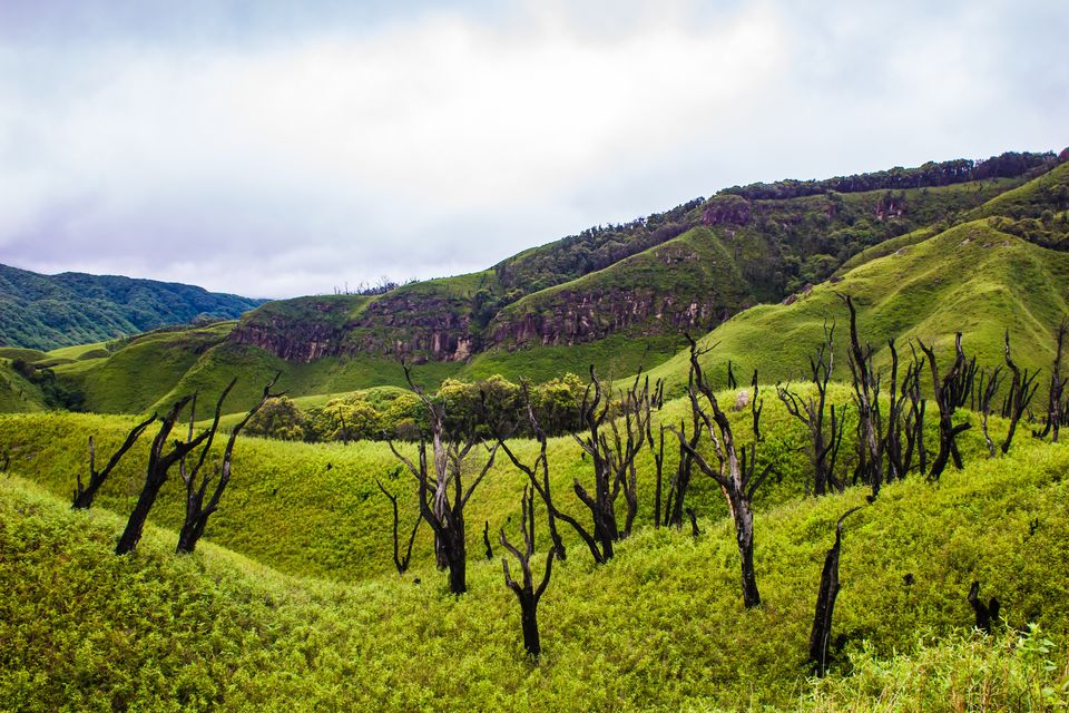 Photo of Dzukou View Point, Kohima, Nagaland, India by Akshaya Singhal