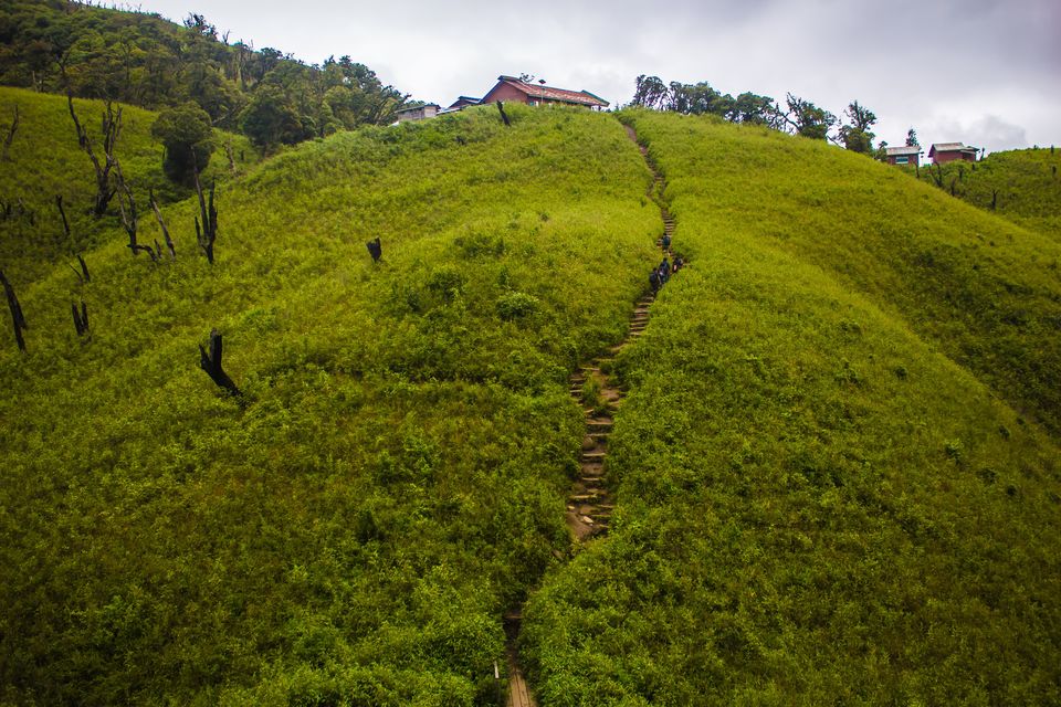 Photo of Dzukou View Point, Kohima, Nagaland, India by Akshaya Singhal