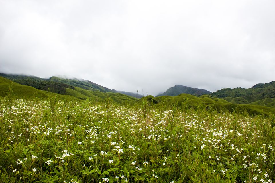 Photo of Dzukou Valley Guest House, Kohima, Nagaland, India by Akshaya Singhal