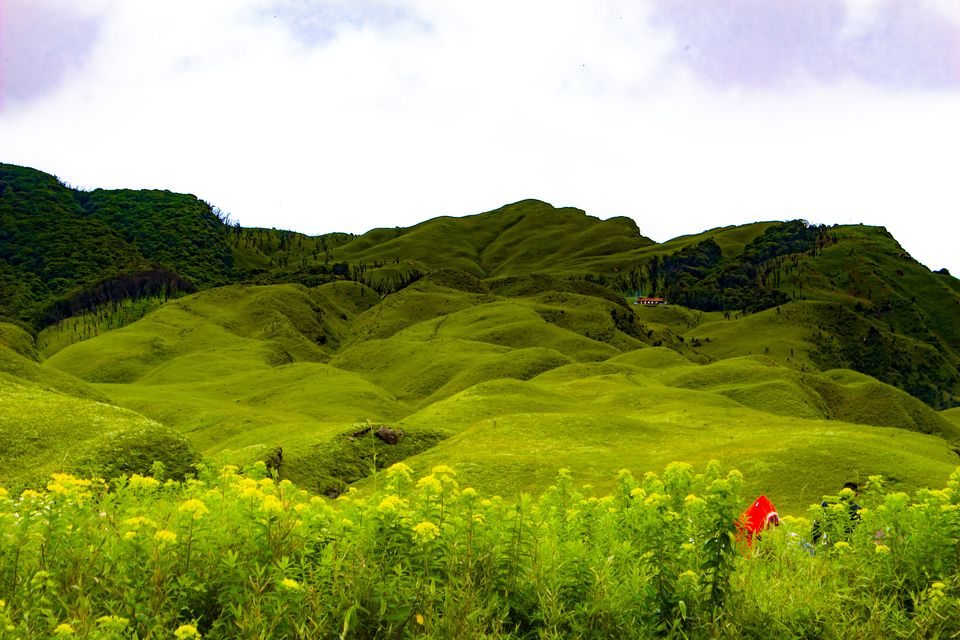 Photo of Dzukou Valley Guest House, Kohima, Nagaland, India by Akshaya Singhal