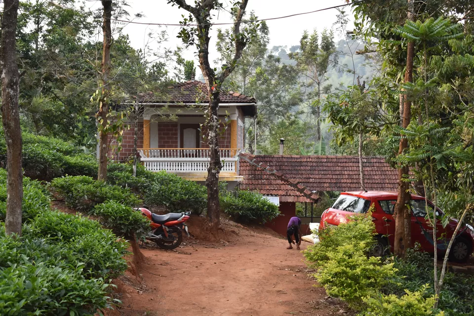 Photo of Gudalur, Tamil Nadu, India by saumya silori