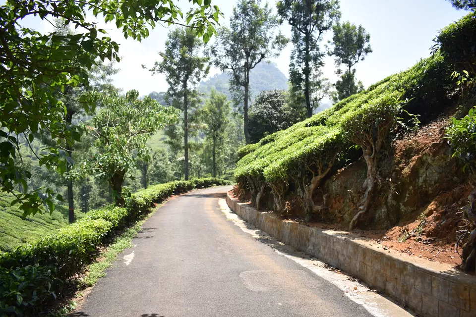 Photo of Coonoor, Tamil Nadu, India by saumya silori
