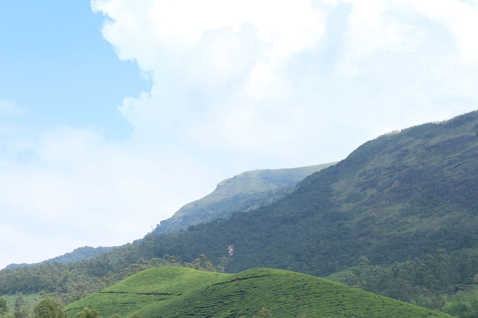 Photo of Eravikulam National Park, Kerala, India by saumya silori