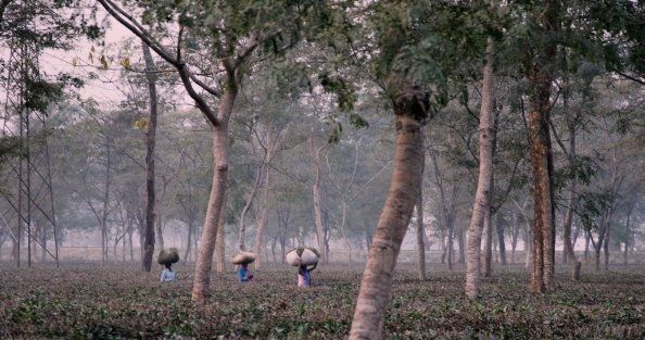 Photo of Feasting in North East India 9/23 by Aminah