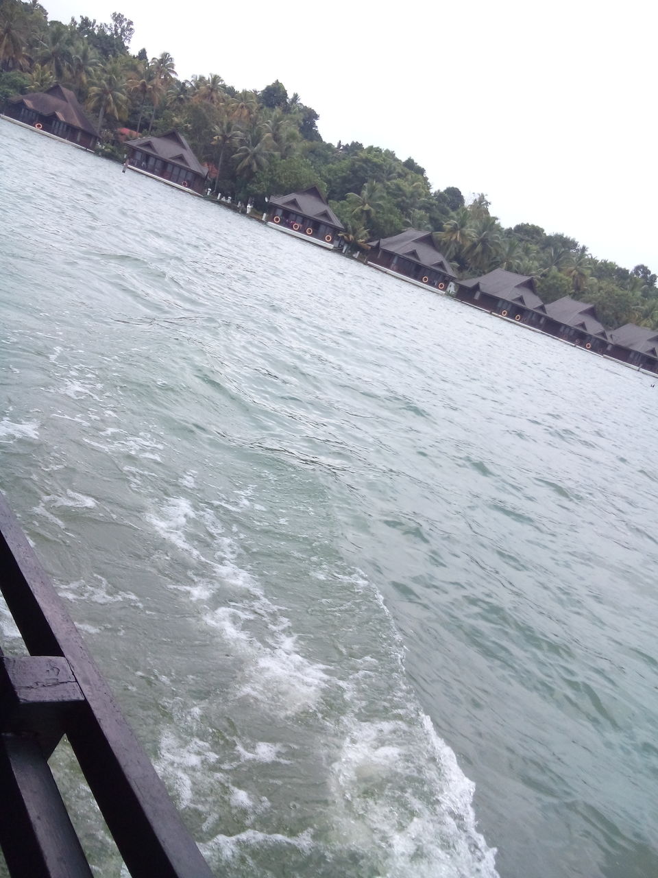 Photo of Back at the waters - Ashtamudi, Kerala by Tazeen Qureshi