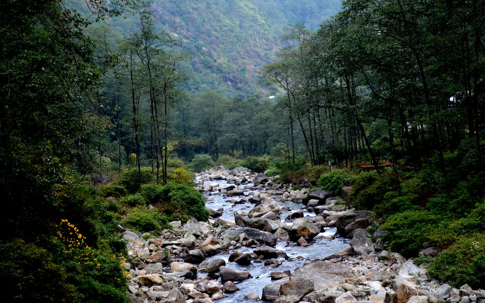 Photo of Mini Hiking on Sandakphu Route 6/19 by Monojit Dey