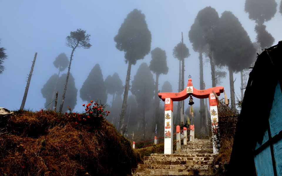 Photo of Mini Hiking on Sandakphu Route 7/19 by Monojit Dey