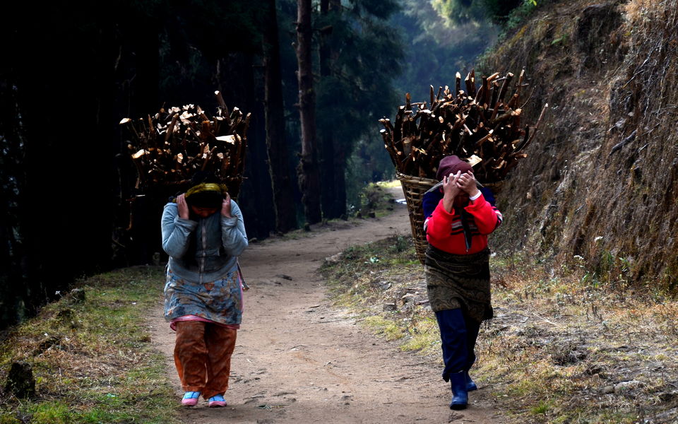 Photo of Mini Hiking on Sandakphu Route 8/19 by Monojit Dey