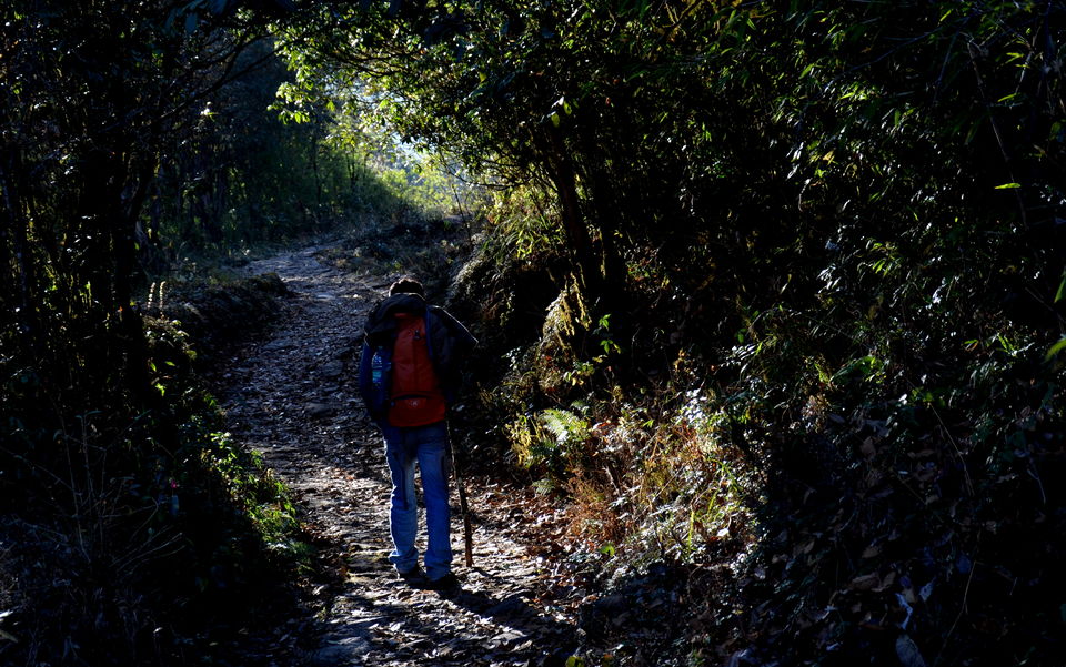 Photo of Mini Hiking on Sandakphu Route 10/19 by Monojit Dey