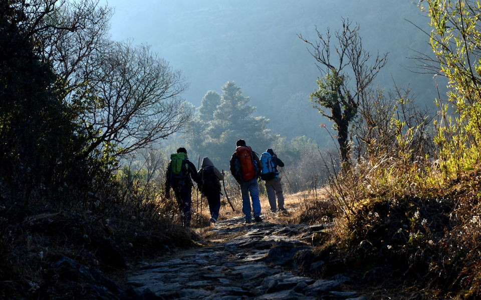 Photo of Mini Hiking on Sandakphu Route 11/19 by Monojit Dey
