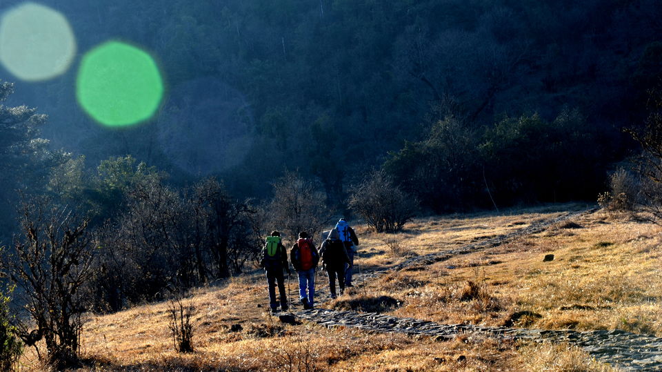 Photo of Mini Hiking on Sandakphu Route 12/19 by Monojit Dey