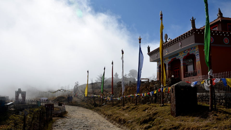 Photo of Mini Hiking on Sandakphu Route 18/19 by Monojit Dey