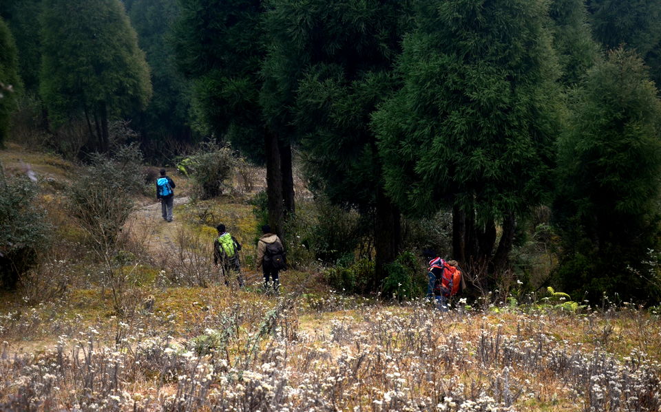 Photo of Mini Hiking on Sandakphu Route 19/19 by Monojit Dey