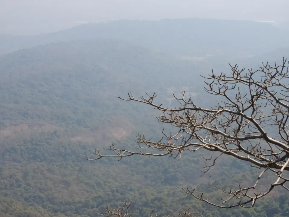Photo of Karnala, Maharashtra, India by Rohan Panchal