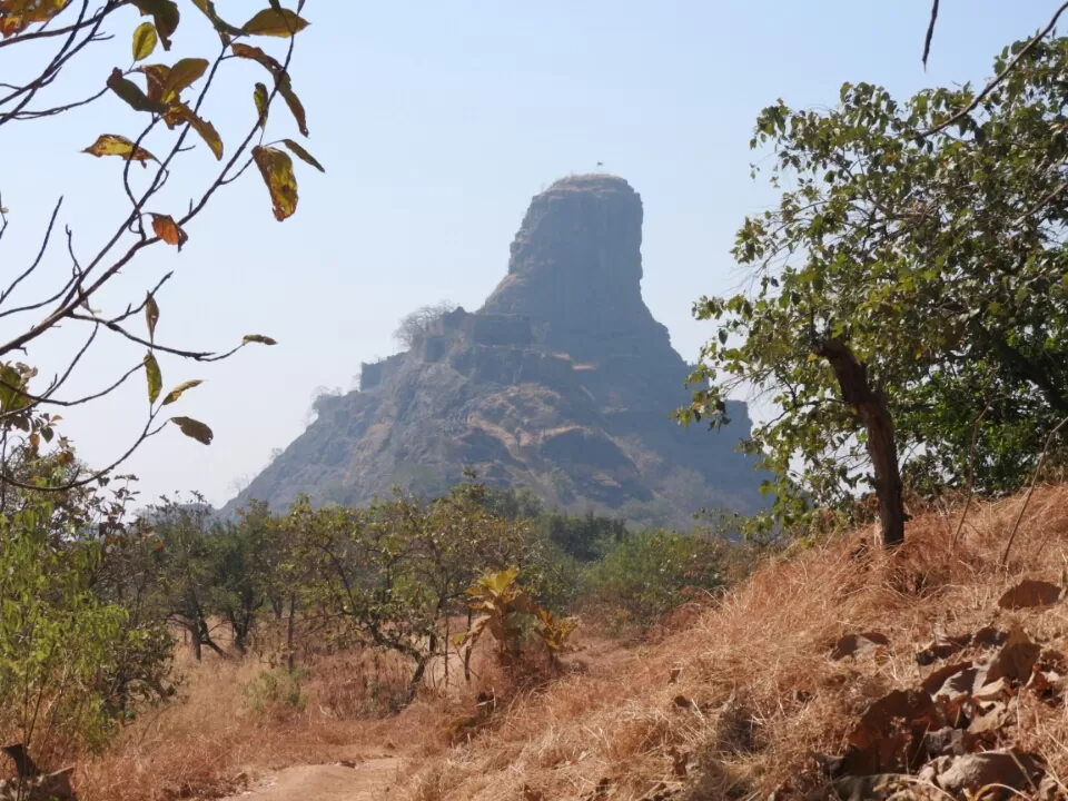 Photo of Karnala, Maharashtra, India by Rohan Panchal