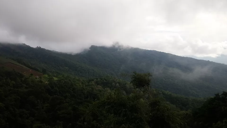 Photo of Phu Chi Fa by THILAKRAJ