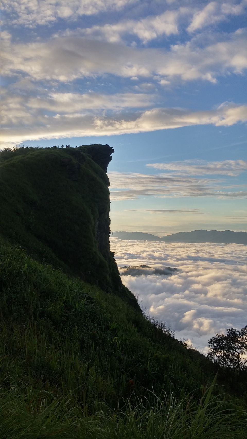 Phu Chi Fa – A well kept secret by the Thais - Tripoto