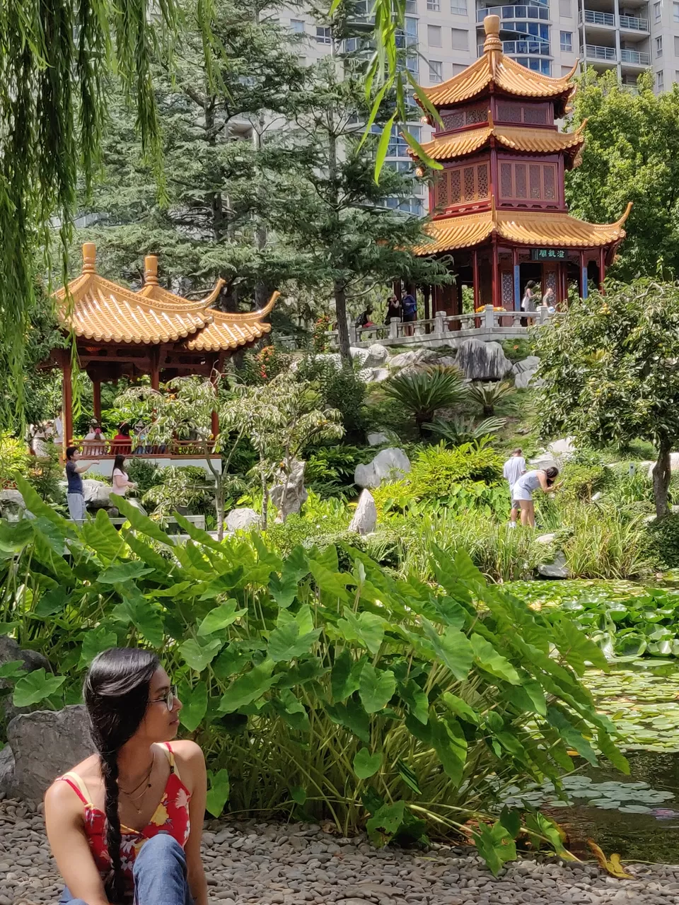 Photo of Sydney NSW, Australia by kartika nair