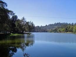 Photo of Soothing Kodaikanal 4/9 by Puneet Hosamani