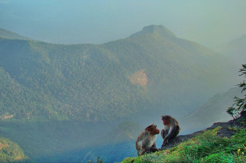 Photo of Soothing Kodaikanal 6/9 by Puneet Hosamani